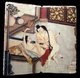 China: Erotic picture album or 'Pillow Book', Qing Dynasty, 19th century